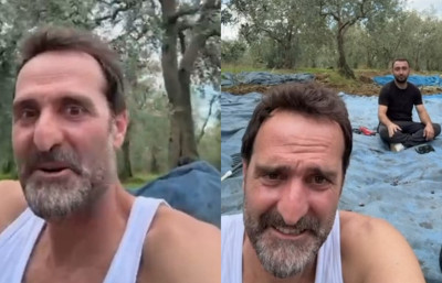 'Köfte Necmi’ ilk zeytin hasadını yaptı