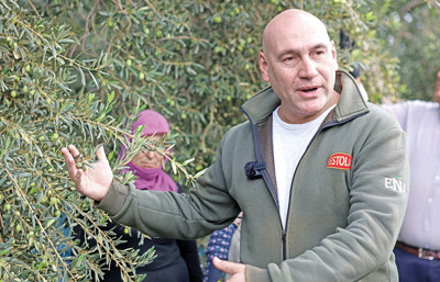 Akhisar Ticaret Borsası Başkanı Alhat: Bu yıl zeytinyağı ancak iç piyasaya yetecek