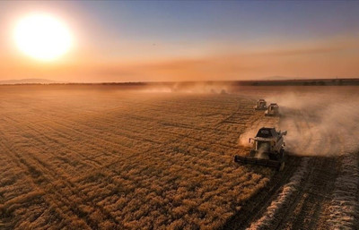 331 milyon liralık tarımsal destek bugün hesaplarda