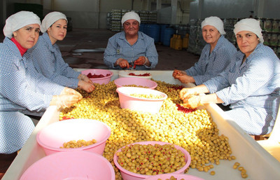 Rekor sezon sonrası güçlü başlangıç