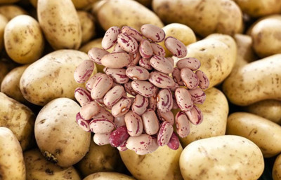 Niğde’nin patatesi ve barbunyası Migros raflarına giriyor