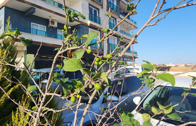 Hayra alamet değil! Görenler hem şaşırıyor hem ürküyor!