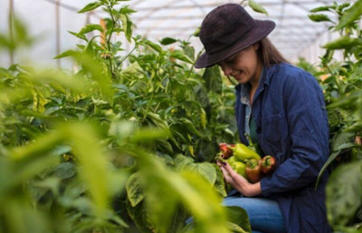 Kadın çiftçiler ve üreticiler için yeni dönem: 65,5 milyarlık kırsal kalkınma paketi