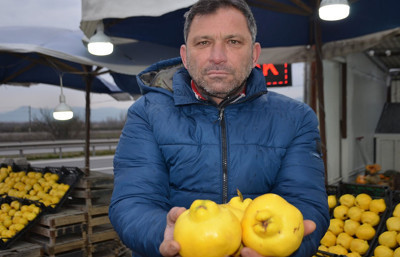 Ayvayı bu sene ayaz vurdu: Fiyat 250 TL’ye çıktı