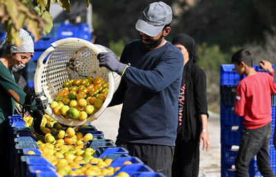 Tarım ve gıdanın dış ticaret fazlasında yüzde 74 gerilemeTarım, gıda ve içecek sektörünün dış ticaret fazlasında ilk 4 ayda %74,3’lük sert düşüş dikkat çekti. İlk 4 ayda ihracat geçen yılın aynı dönemine göre %3,37 artışla 9,21 milyar dolardan 9,52 milyar...