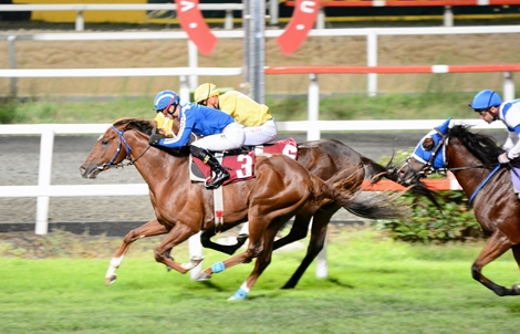 Milyonlar havada uçuşuyor:  Atlar koşuyor, onlar kazanıyor - Resim : 6