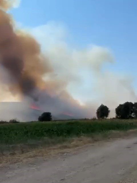 Bursa'daki orman yangını kontrol altına alındı - Resim : 1