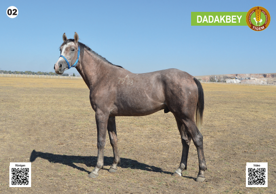 Her biri servet değerinde, açık artırmayla satılacak - Resim: 3
