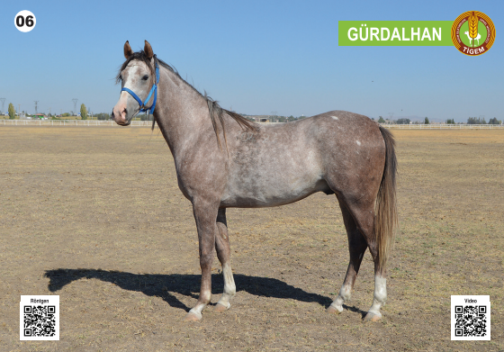 Her biri servet değerinde, açık artırmayla satılacak - Resim: 7