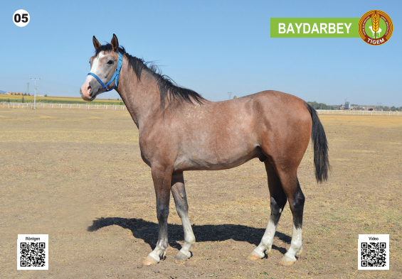 Her biri servet değerinde, açık artırmayla satılacak - Resim: 6