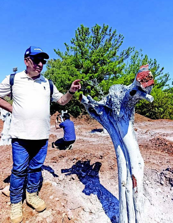 Bilimle taşınan kadim miras - Resim : 1