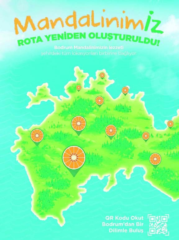 Biraz deniz, biraz Bodrum yeşili bütün isteğim buydu - Resim : 2