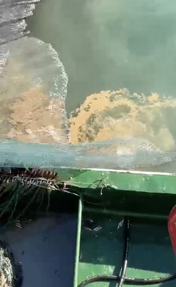 Müsilaj kâbusu geri döndü! Uzman isimden korkutan açıklama - Resim: 3