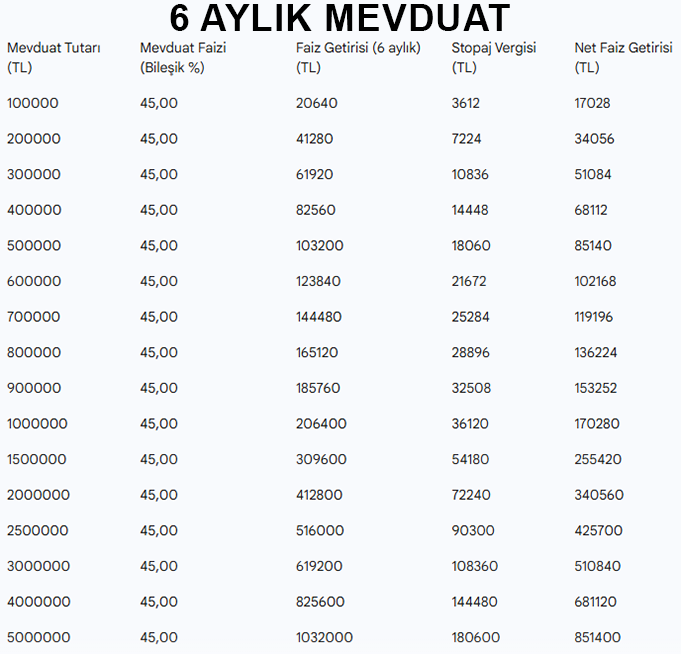 Politika faizi düşebilir ama mevduat hâlâ yüksek: İşte güncel oranlar - Resim: 10