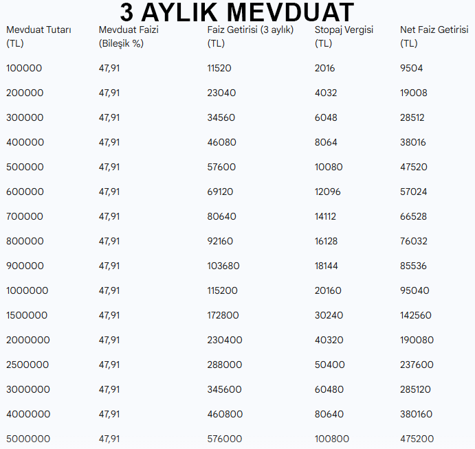 Politika faizi düşebilir ama mevduat hâlâ yüksek: İşte güncel oranlar - Resim: 9