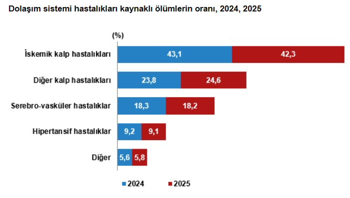 Dolaşım sistemi hastalıkları kaynaklı ölümlerin oranı
