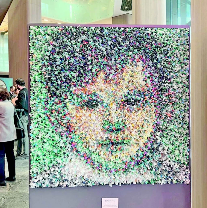 Tıbbi atıklar sanat eseri oldu - Resim : 1