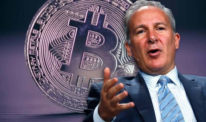 Ünlü ekonomist Bitcoin’deki yükselişe 'sahte' dedi: Yeni yatırım rotasını gösterdi - Resim: 1