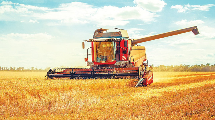 Tarım ÜFE’de güçlü yükseliş: Son 7 ayın en yüksek seviyesi