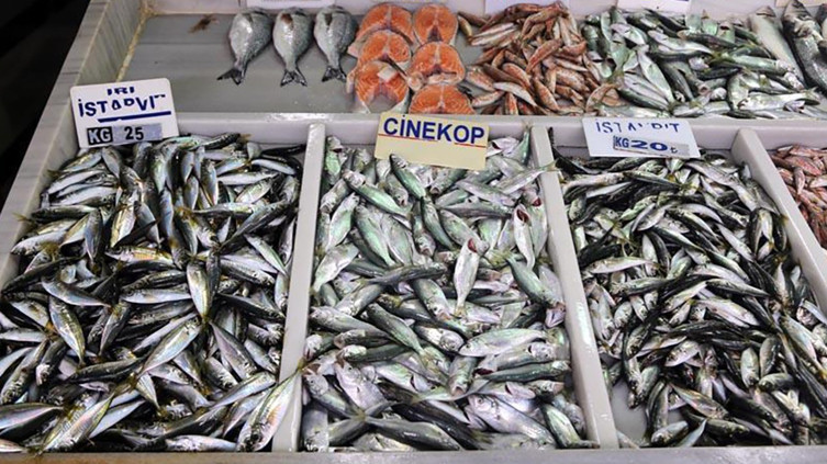 Su ürünleri ihracatında birim fiyat yüzde 20,4 arttı