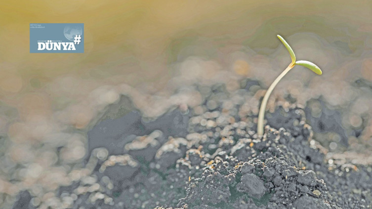 Savaşın görünmeyen cephesi: Kadın ve genç çiftçiler