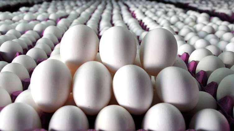 İhracat kotası 5 kat arttı: Yumurtada fiyat artacak korkusu başladı