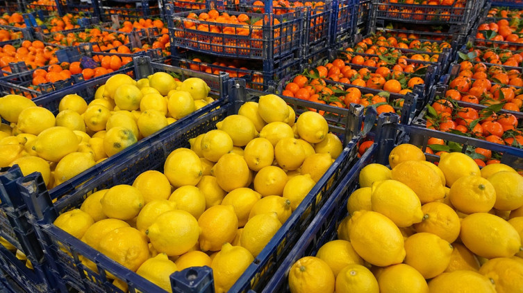 Türkiye'nin turunçgil ihracatı başarısı: Mandalina Irak’a, limon Rusya’ya gitti