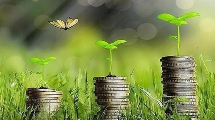 Yeşil finansman için KOBİ’lere 'hazır olun' uyarısı