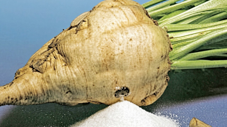 Şeker pancarında fiyat beklentisi 5 bin TL