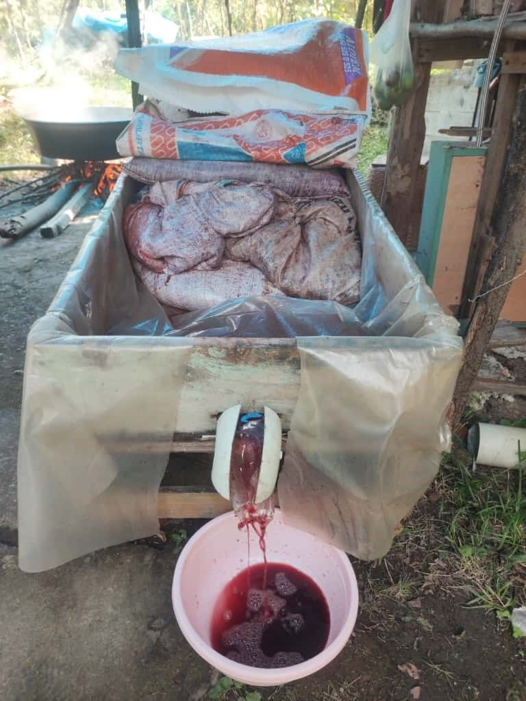 Şifa niyetine Isabella! Üretim başladı - Resim: 5