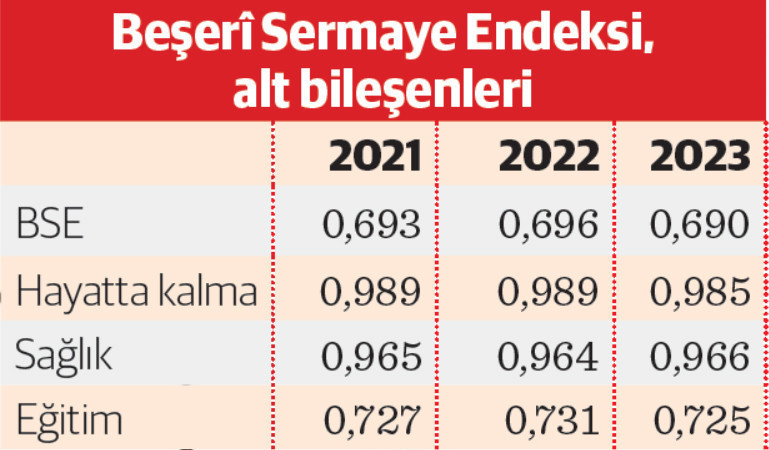 Türkiye’nin beşerî sermayesi geriledi - Resim : 2