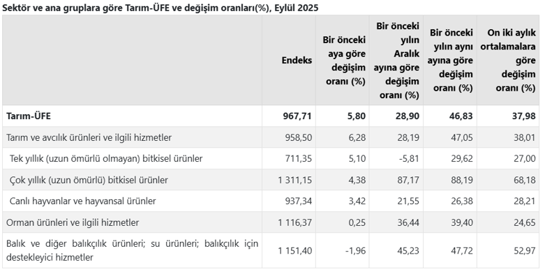 Son Dakika... TÜİK açıkladı: Çiftçinin eylül ayı enflasyonu belli oldu! Meyvede sert artış görüldü - Resim : 2