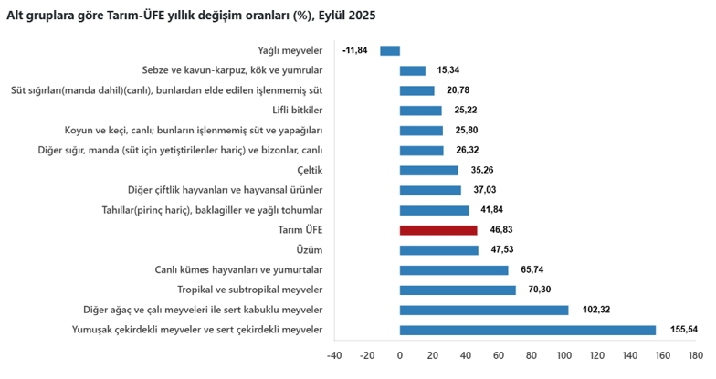 Son Dakika... TÜİK açıkladı: Çiftçinin eylül ayı enflasyonu belli oldu! Meyvede sert artış görüldü - Resim : 3