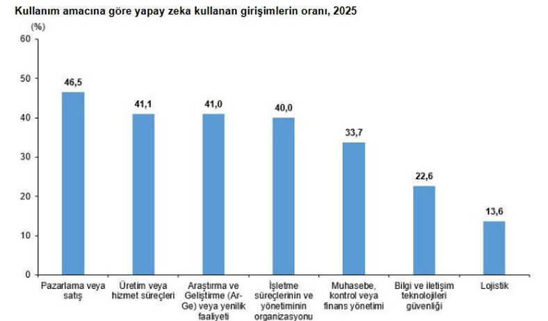 TÜİK ilk kez açıkladı: İşte istatistikler ile yapay zeka! - Resim : 3
