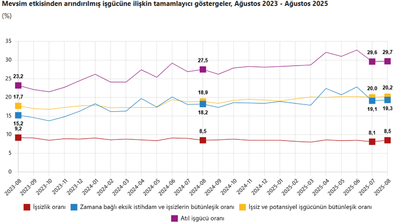 Son Dakika... TÜİK açıkladı: Ağustos ayı işsizlik rakamları belli oldu! - Resim : 2