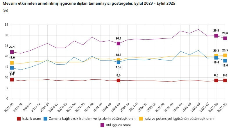 İşsizlik oranı belli oldu - Resim : 5