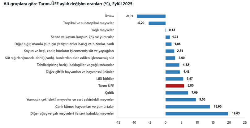 Son Dakika... TÜİK açıkladı: Çiftçinin eylül ayı enflasyonu belli oldu! Meyvede sert artış görüldü - Resim : 4
