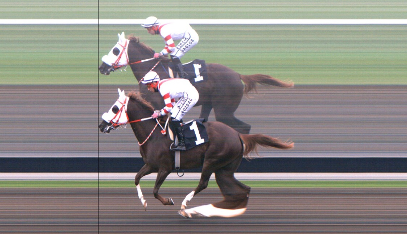 Milyonlar havada uçuşuyor:  Atlar koşuyor, onlar kazanıyor - Resim : 8