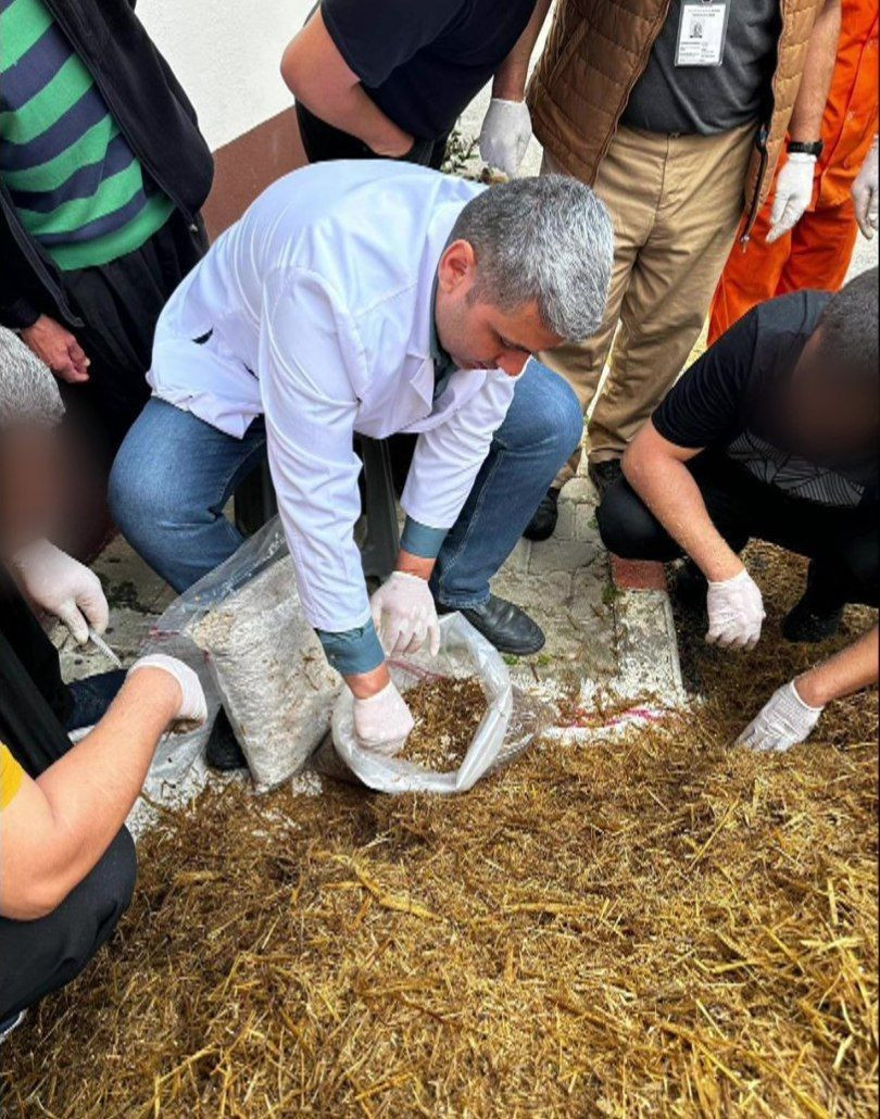 Cezaevinde yetiştirdiler, kilosu 15 bin TL'den satılıyor - Resim: 7