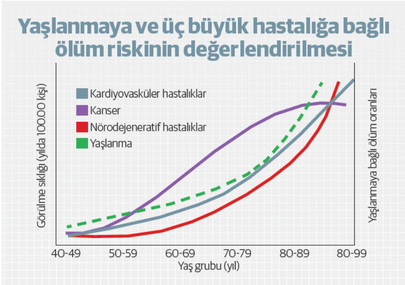 Yaşlanma tedavi edilmeli mi? - Resim : 2