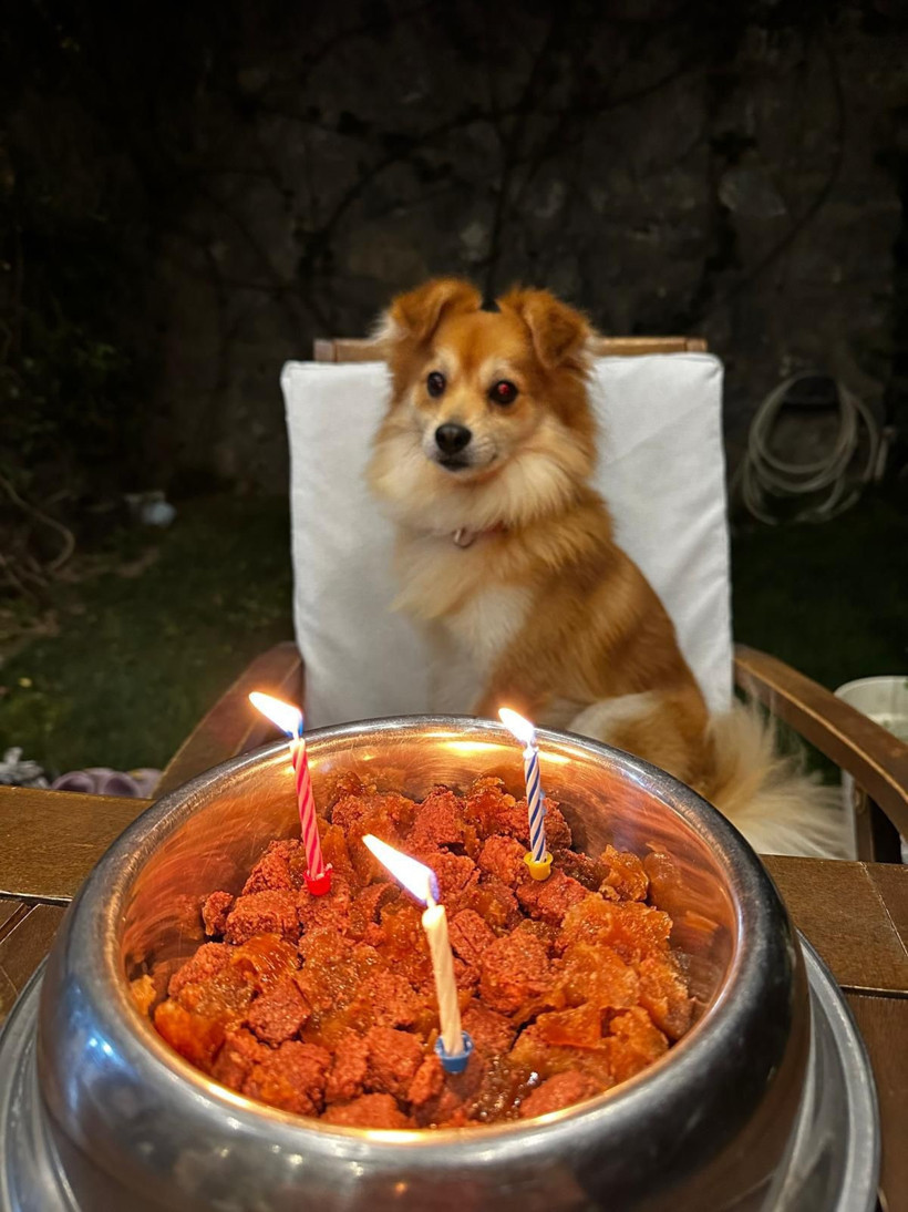 Pablo'yu bulana 50 bin TL ödül verecekler - Resim : 1