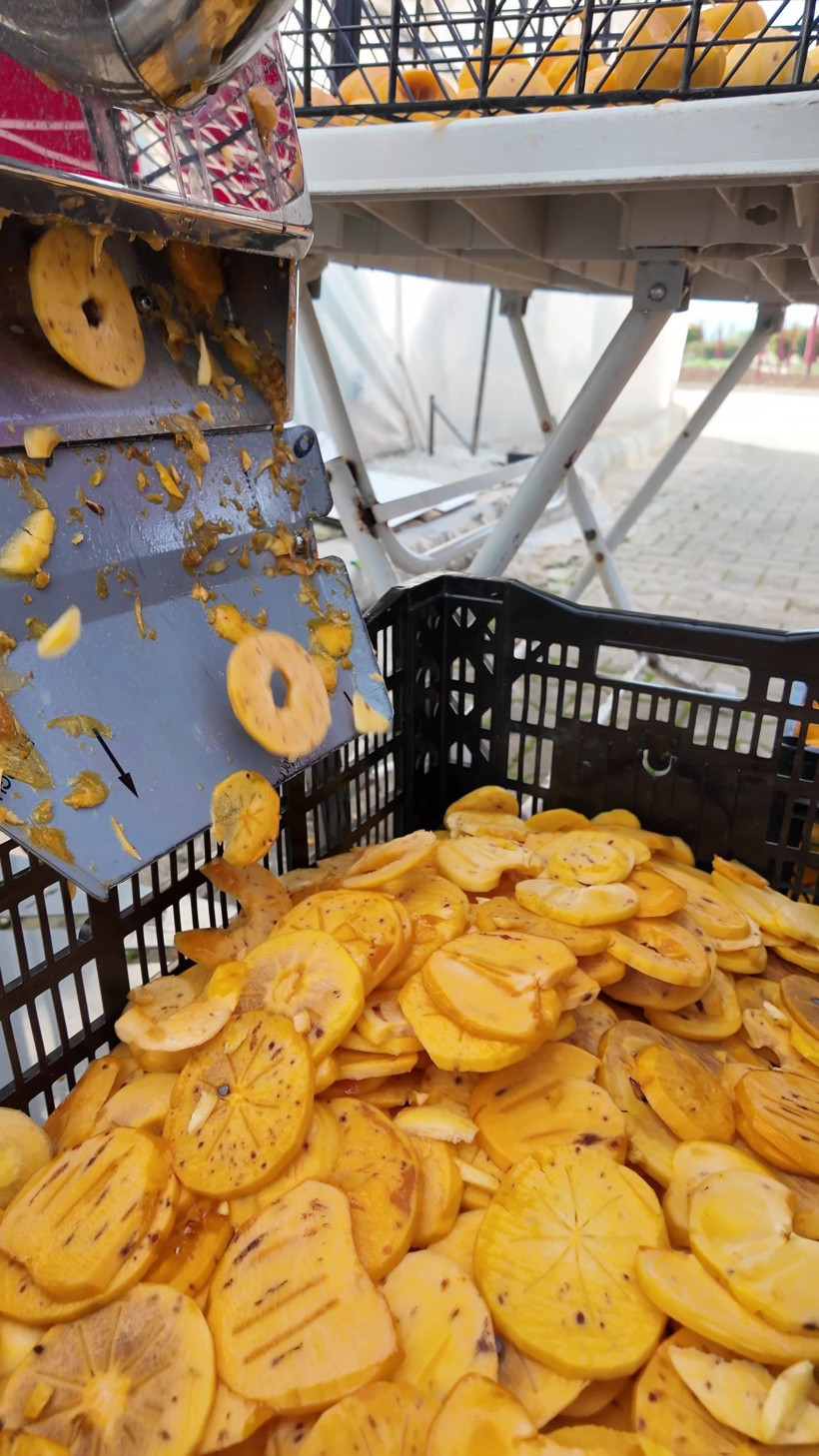 Binlerce ailenin geçim kaynağı! Bu kez de cipsini yaptılar - Resim: 5