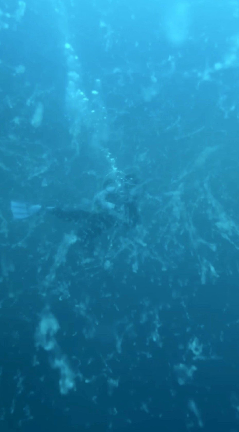 Müsilaj kâbusu geri döndü! Uzman isimden korkutan açıklama - Resim: 2