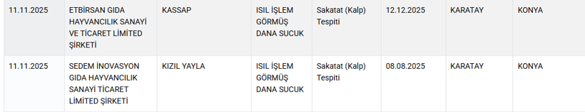Etli ekmekten tavuk, kıymadan kalp çıktı - Resim: 7