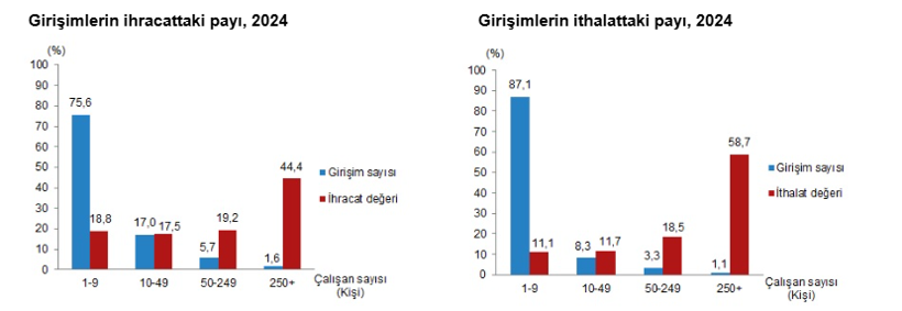 Türkiye'nin dış ticaret profili: İhracatın yüzde 44,4’ünü büyük ölçekli girişimler gerçekleştirdi