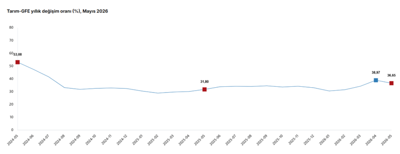 TÜİK: Tarımsal girdi fiyatları mayısta yıllık yüzde 36,65 arttı - Resim : 1