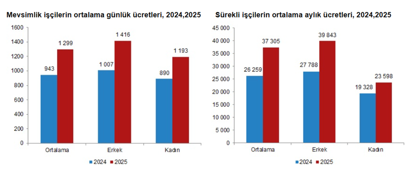 Tarımda &uuml;cretler y&uuml;kseldi: Mevsimlik iş&ccedil;inin aylık maaşı 37 bin TL'yi ge&ccedil;ti - Resim : 2