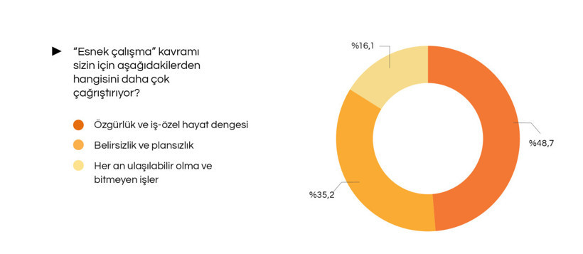 Çalışanlar esnek çalışmayı özgürlük olarak görüyor ama belirsizlikten şikâyetçi - Resim : 2
