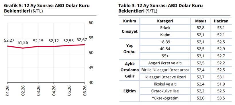 Vatandaşın enflasyon beklentisi düştü: Yatırım tercihleri değişiyor - Resim : 4