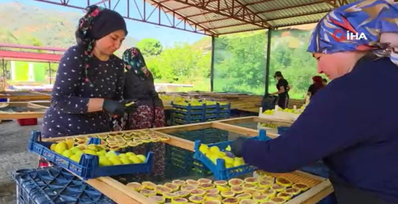 Aydın'ın gözdesi değerini katlıyor: 3 günde hazırlanıyor, fiyatı 6 katına çıkıyor - Resim: 10